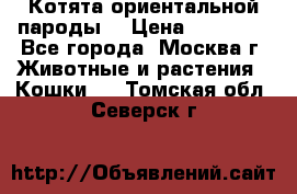 Котята ориентальной пароды  › Цена ­ 12 000 - Все города, Москва г. Животные и растения » Кошки   . Томская обл.,Северск г.